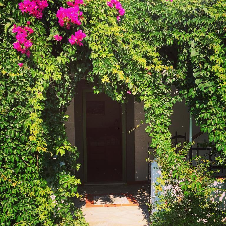 Patmos Villas Grikos Bay  Exteriör bild